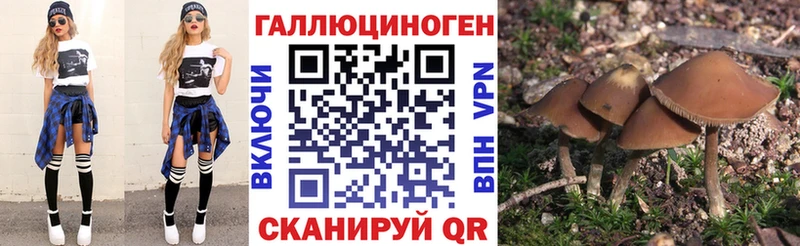 купить  цена  Семикаракорск  OMG как зайти  это формула  Галлюциногенные грибы прущие грибы 