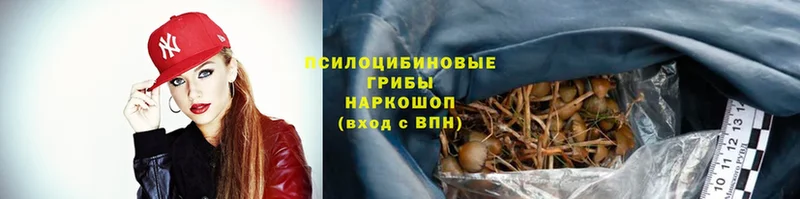 blacksprut зеркало  Семикаракорск  Галлюциногенные грибы Magic Shrooms 