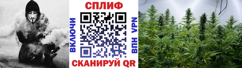 продажа наркотиков  Семикаракорск  Бошки марихуана тримм 